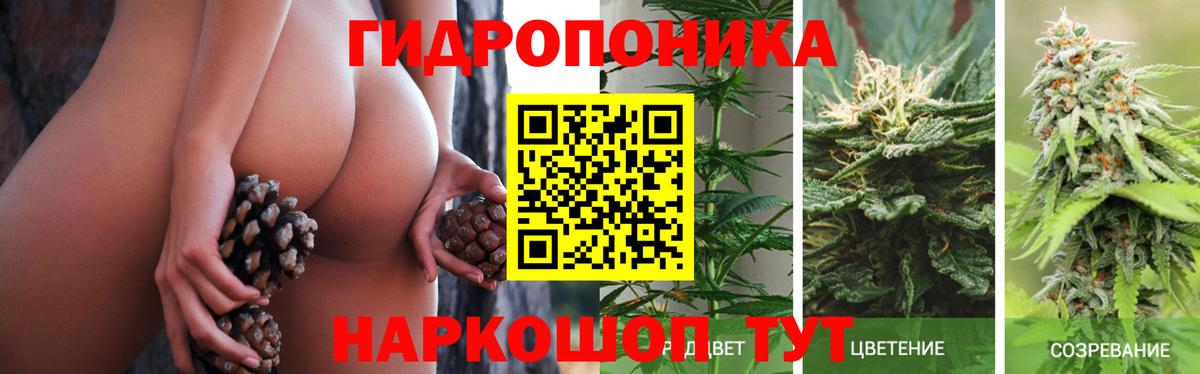 Каннабис SATIVA & INDICA  Вход с VPN  Канабис AK-47  Холмск 